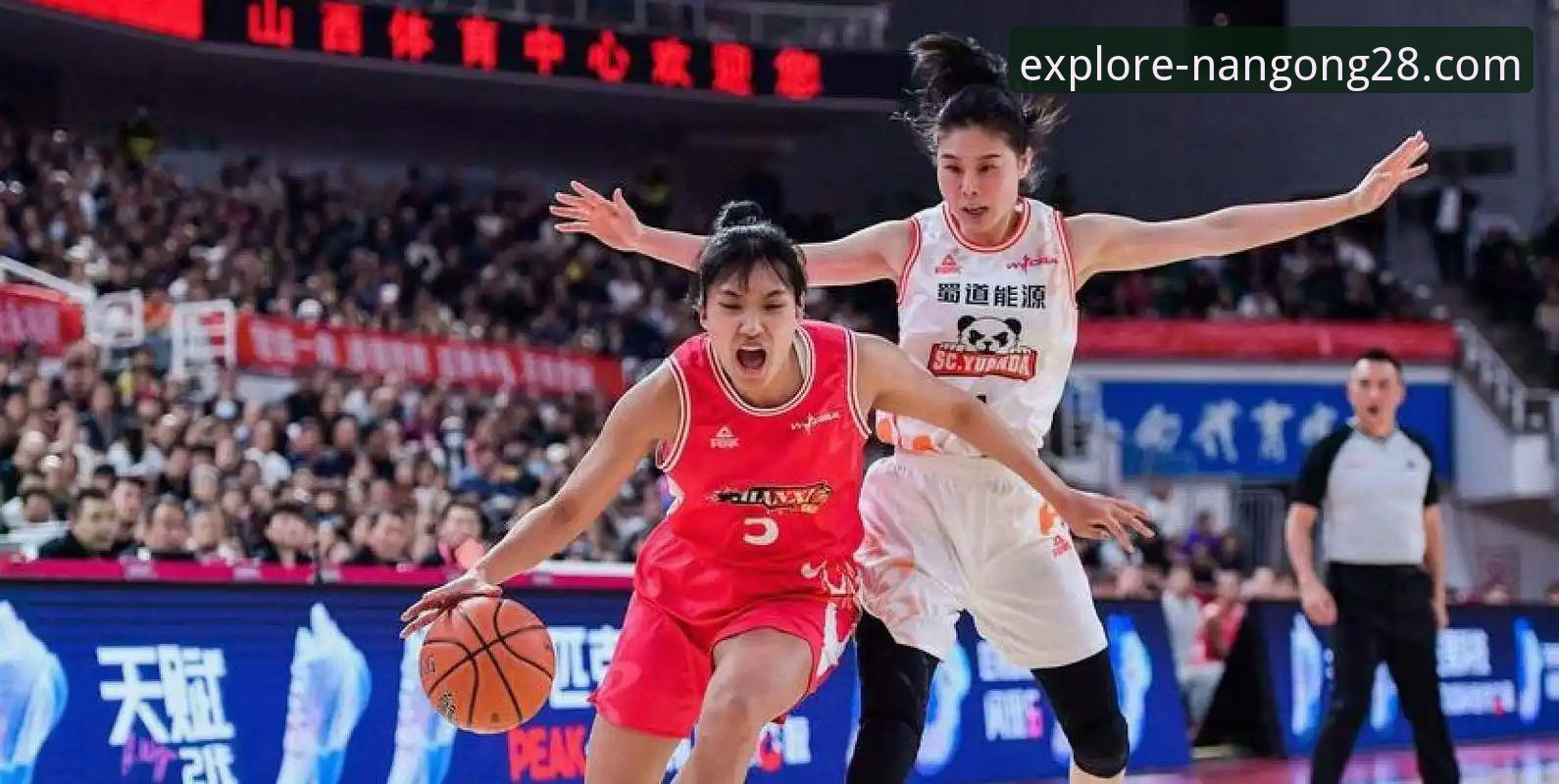 WCBA总决赛G1四川大胜创纪录详解